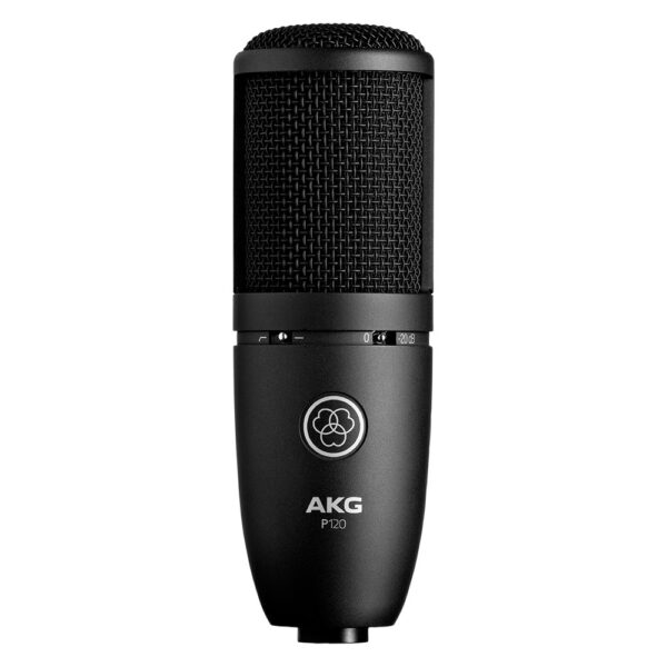 AKG-P120