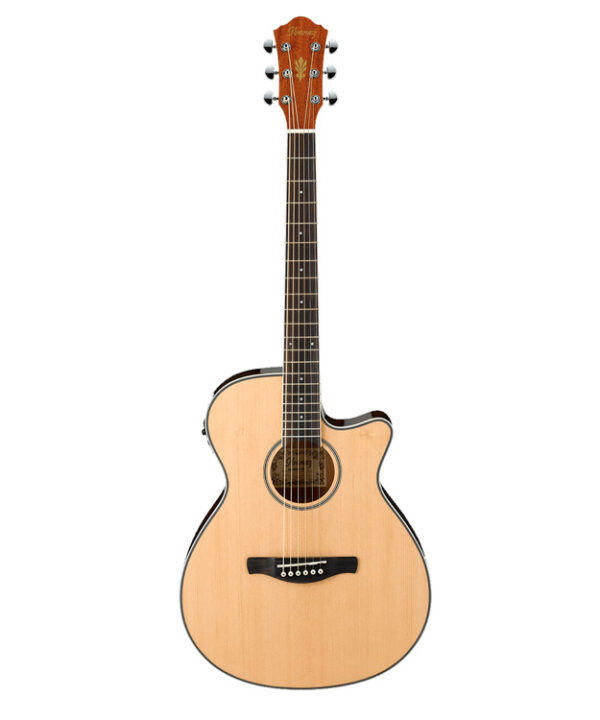 Ibanez-AEG8E-NT-1