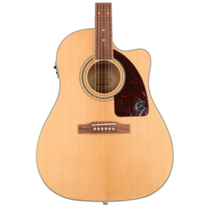 epiphone-EE2SNANH1-1-600x600