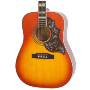 epiphone-EEHBFCNH1-600x600