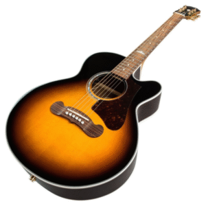 epiphone-EEJPVSGH3-1-600x600