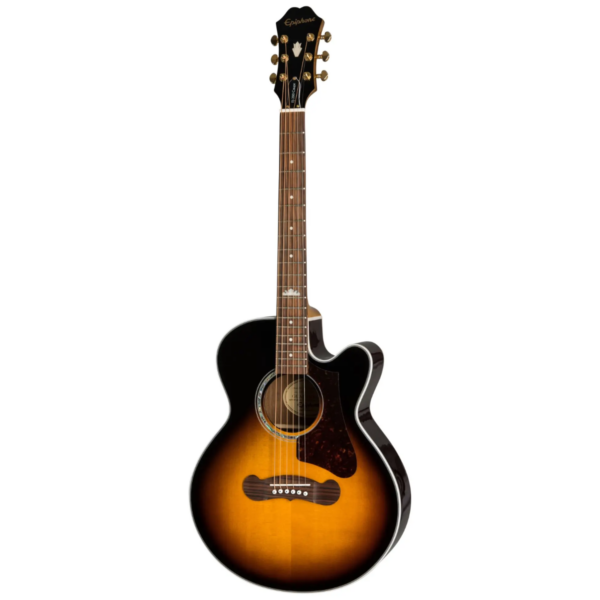 epiphone-EEJPVSGH3-600x600