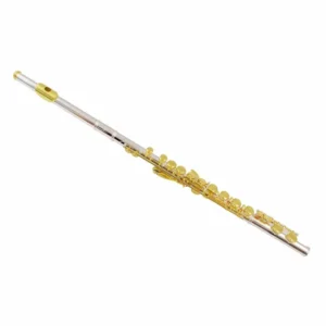 Baldassare 6456SGE – Flauta Traversa Silver-Gold Profesional