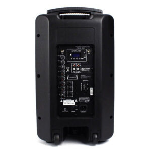 Baretone-MAX-10HE-1-3