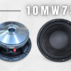 FBR 10MW750 10” Subwoofer Alta Potencia