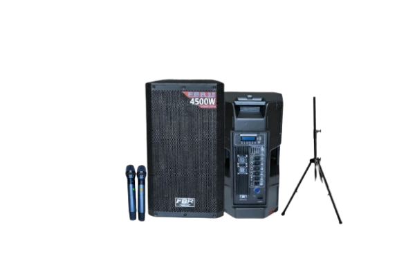 FBR Cabina Activa ART-915A 15” + Micrófonos UHF