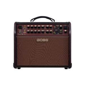 BOSS ACS-LIVE LT230 Amplificador Combo