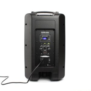 PARLANTE-ACTIVO-AC-DC-PHA-10HD-ESPALDA