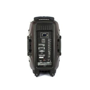 PARLANTE-PHA-15MBK-3-500x500