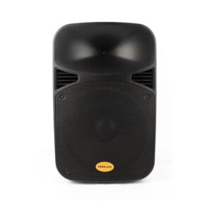 HALION PHA-15MDXWN Parlante Bluetooth 15”
