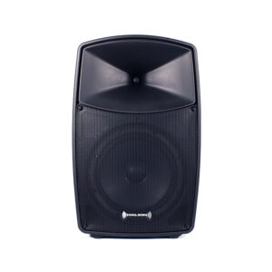 HALION PHA10F Parlante Bluetooth 10”
