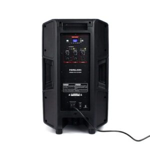 PHA-12VDSP-Control-y-Cable-ESPALDA-min-1-500x500