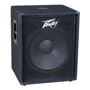 Peavey-PV-118-2