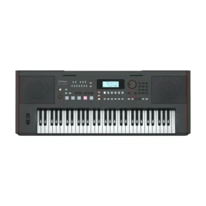 Roland E-X50 Teclado Arranger de 61 Teclas Profesional