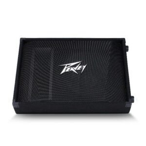 Peavey PV 15M Monitor Pasivo 15"