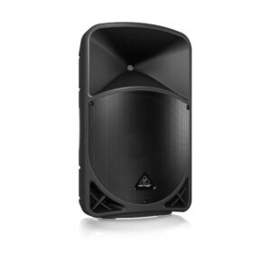 Behringer-B15X-2