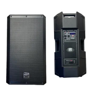 STM Electronics PSX-15DSP Parlante Activo